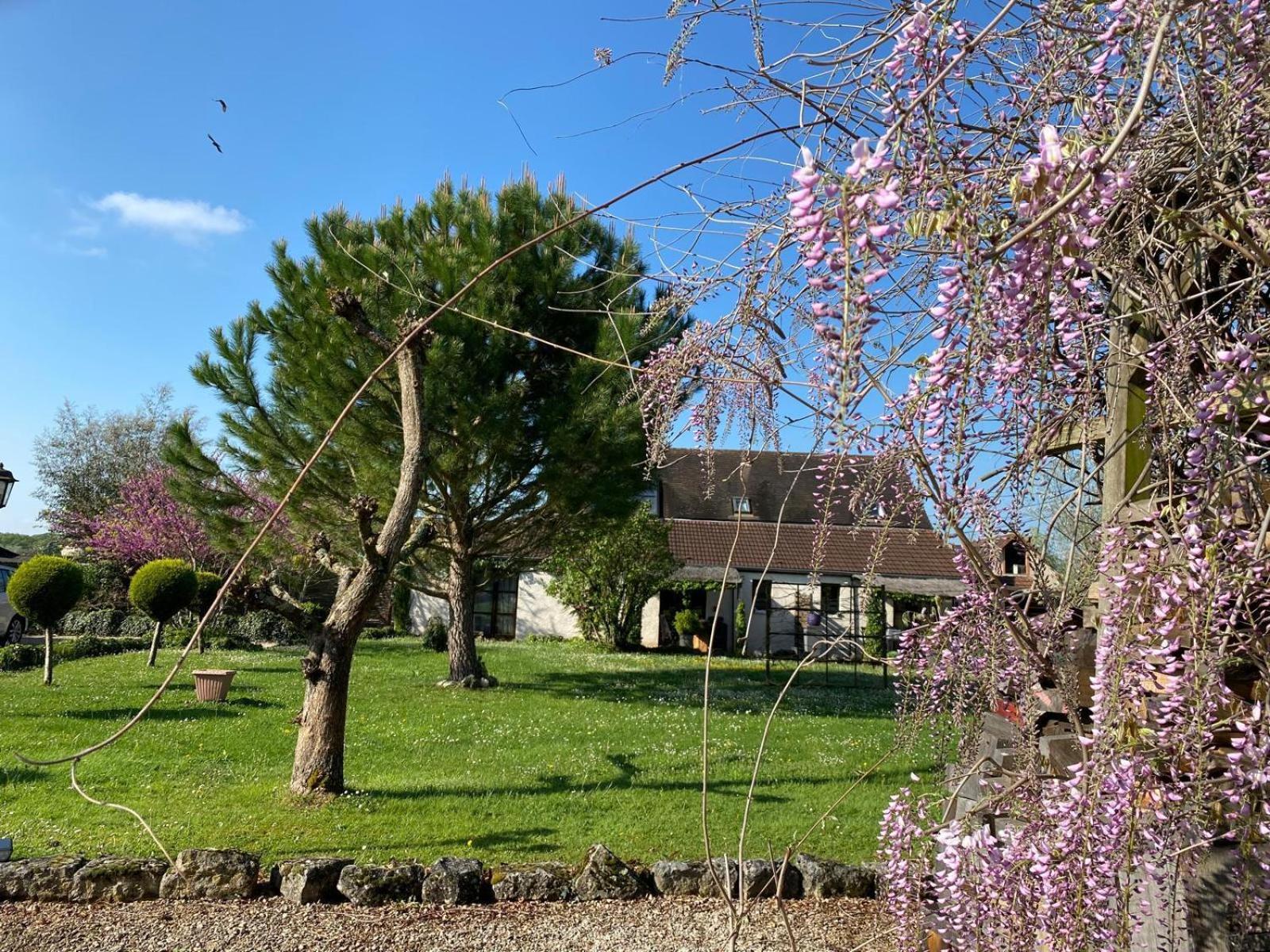 Gite Et Studios Les Barongeres Farges-les-Chalon Εξωτερικό φωτογραφία