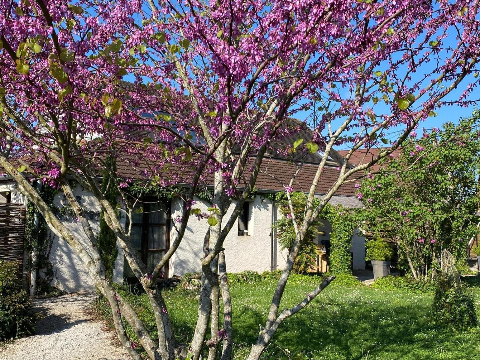 Gite Et Studios Les Barongeres Farges-les-Chalon Εξωτερικό φωτογραφία