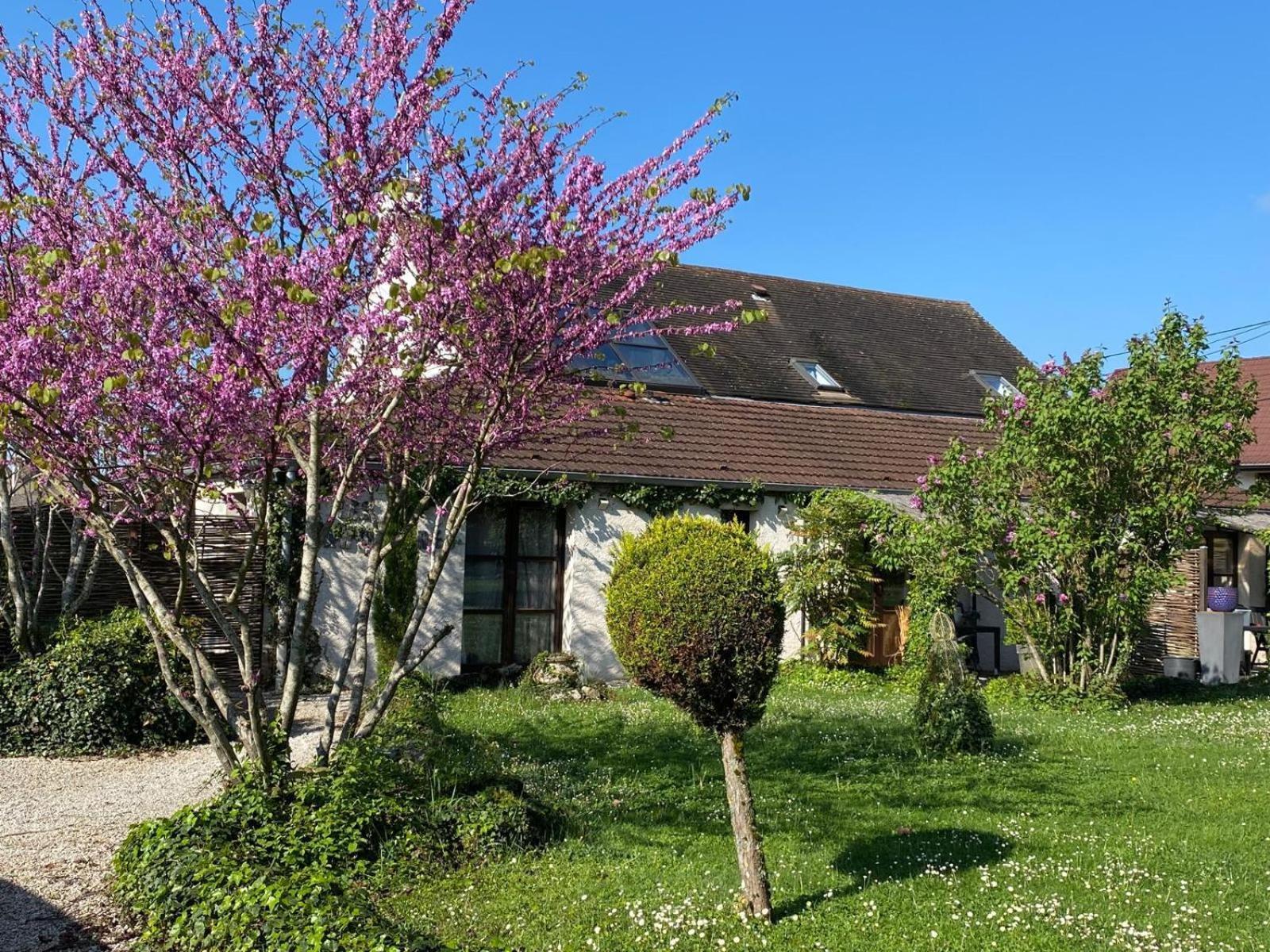 Gite Et Studios Les Barongeres Farges-les-Chalon Εξωτερικό φωτογραφία